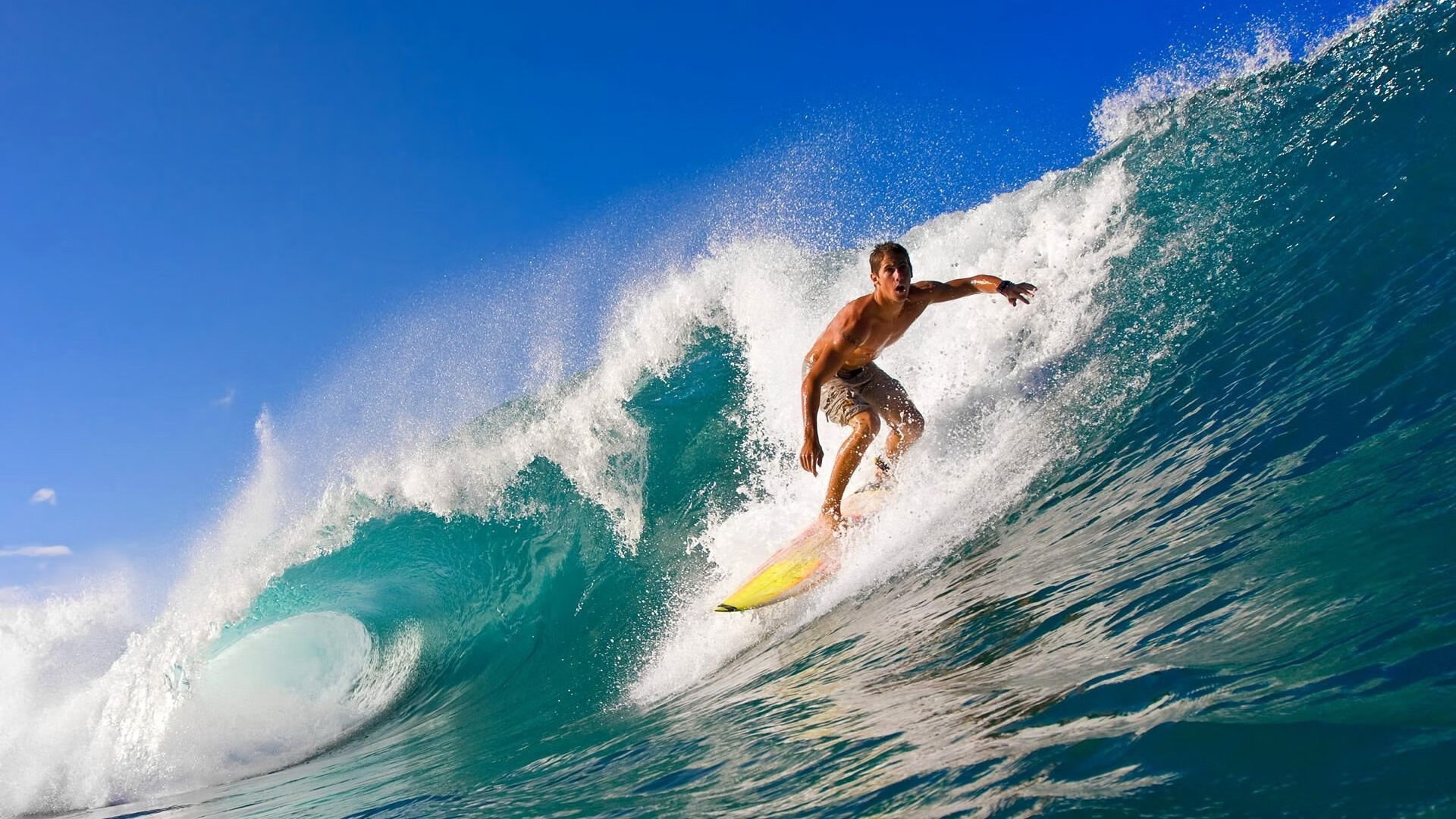 _运动摄影展：捕捉运动瞬间的艺术_，运动摄影有哪些形式